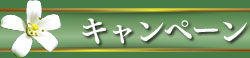 高田馬場タイ古式マッサージ